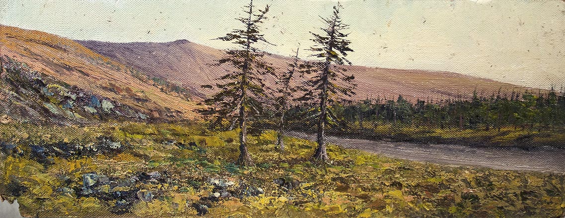 Лисенков С.С.