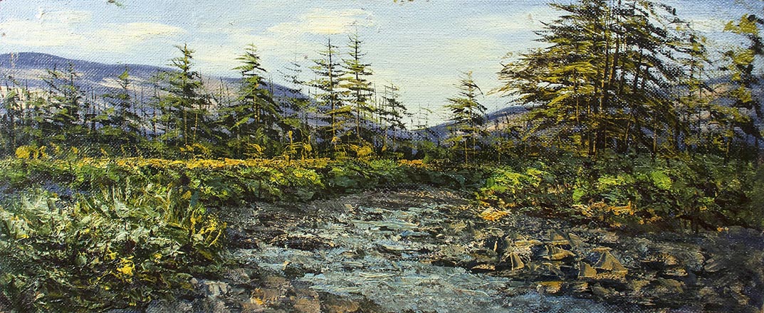 Лисенков С.С.
