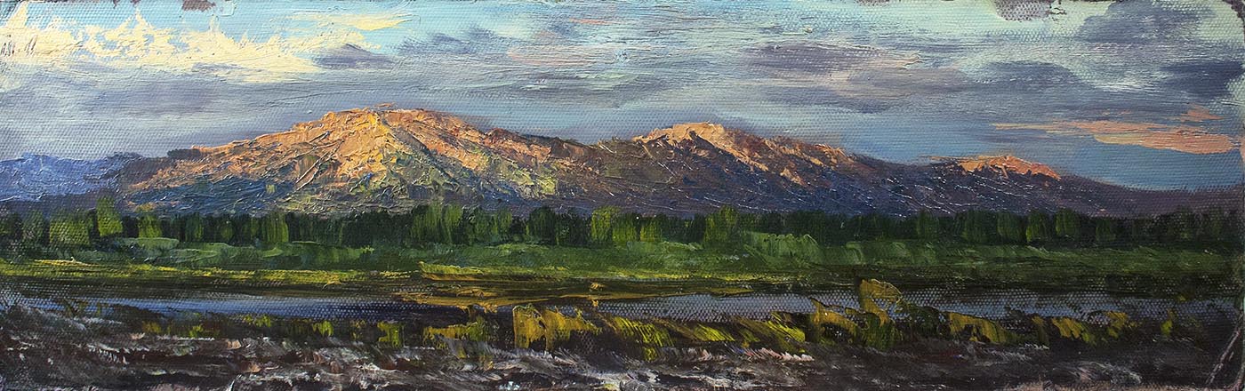 Лисенков С.С.