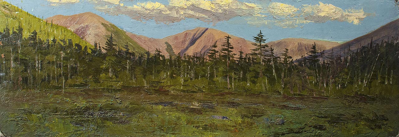 Лисенков С.С.