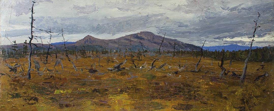 Лисенков С.С.