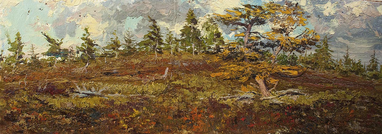 Лисенков С.С.