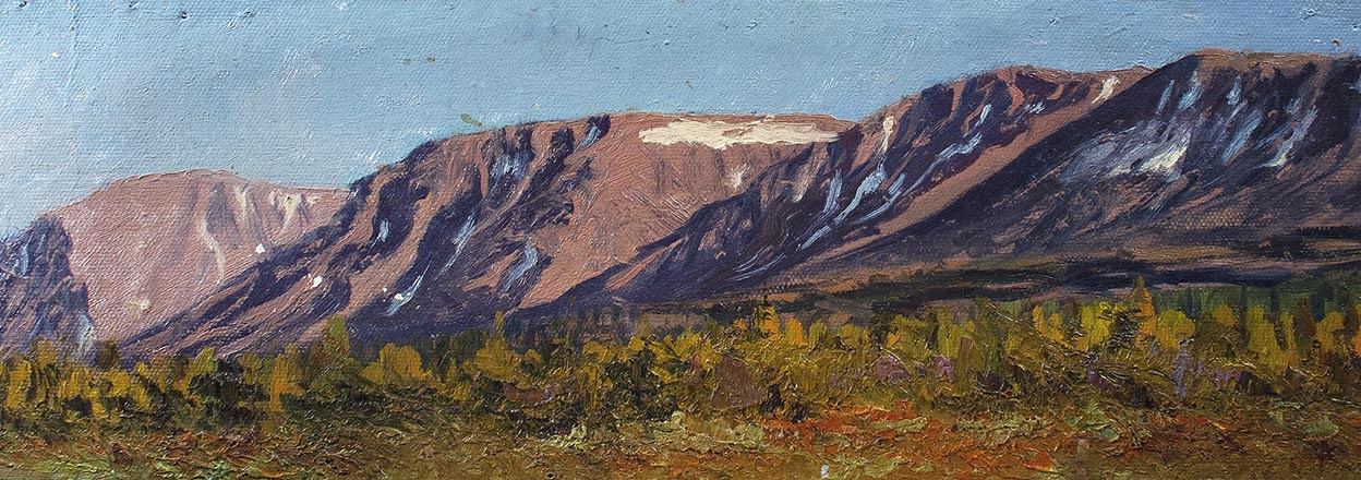 Лисенков С.С.