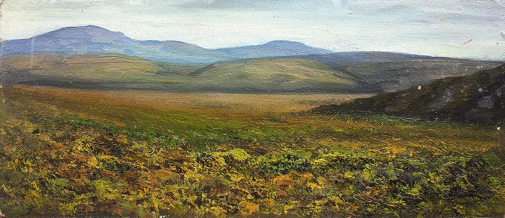 Лисенков С.С.