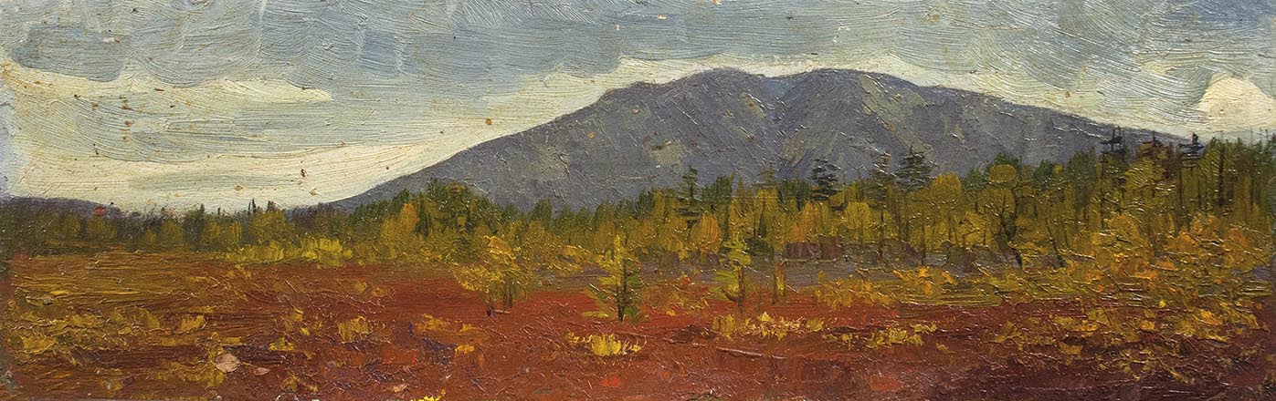 Лисенков С.С.
