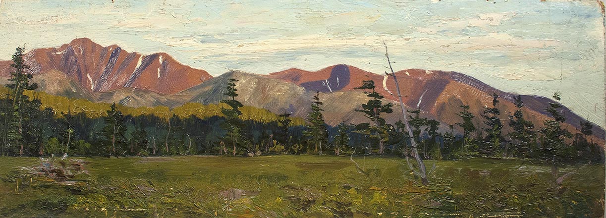 Лисенков С.С.