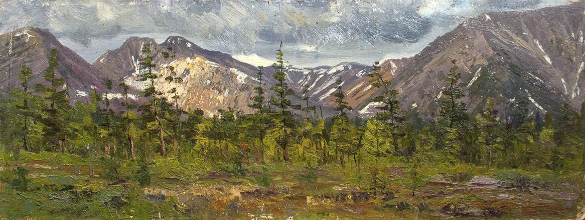 Лисенков С.С.