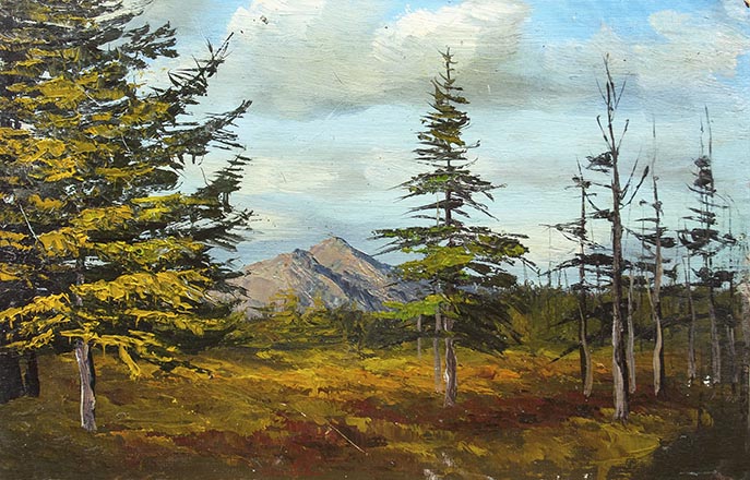 Лисенков С.С.