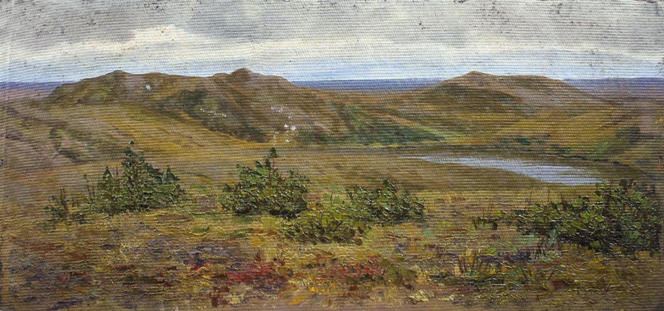 Лисенков С.С.