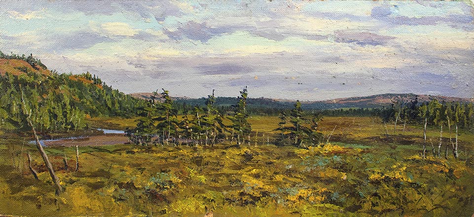 Лисенков С.С.