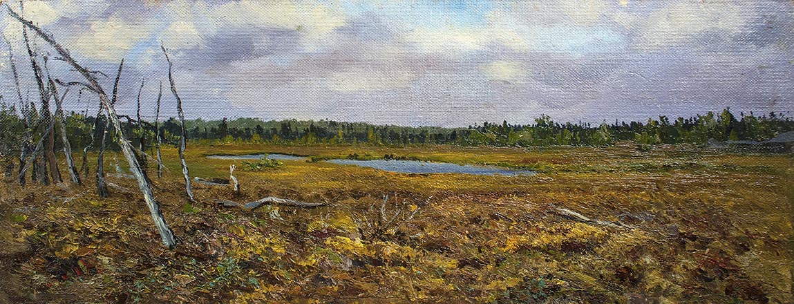 Лисенков С.С.