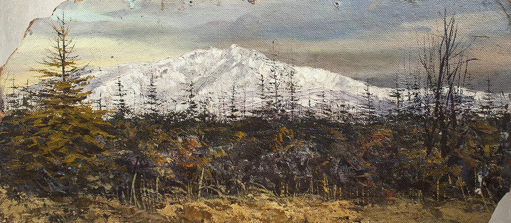 Лисенков С.С.