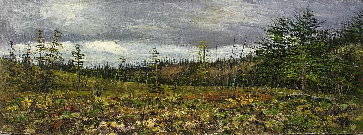 Лисенков С.С.