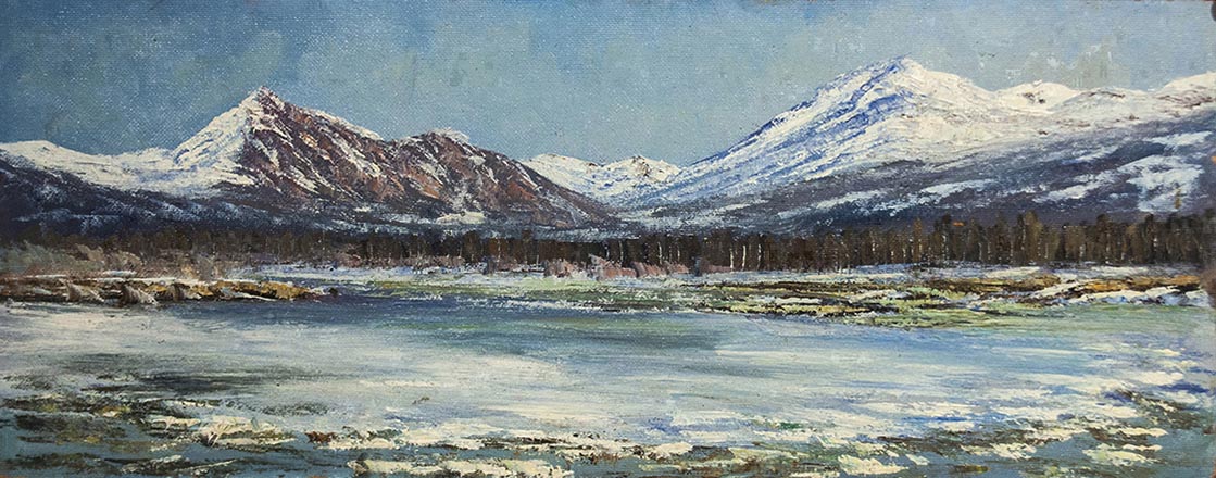 Лисенков С.С.