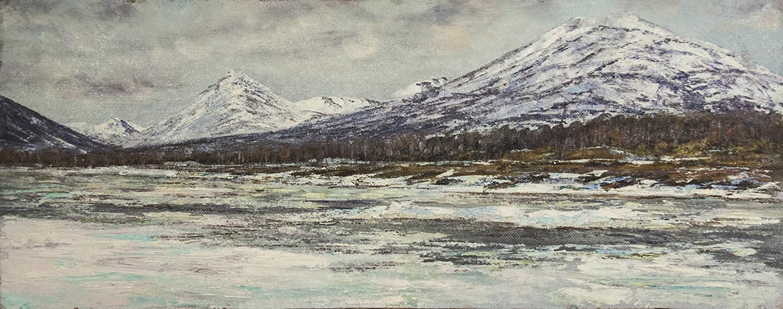 Лисенков С.С.