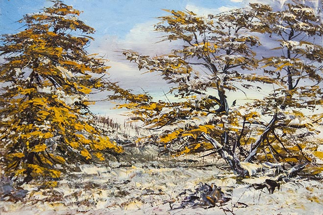 Лисенков С.С.