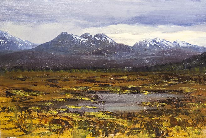 Лисенков С.С.