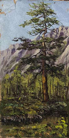 Лисенков С.С.