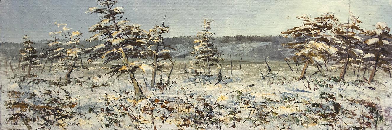 Лисенков С.С.