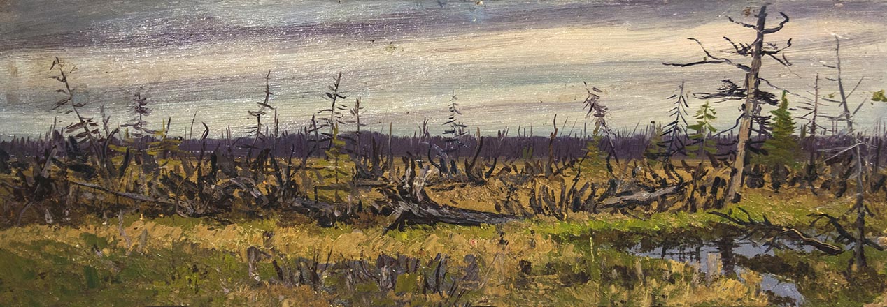 Лисенков С.С.