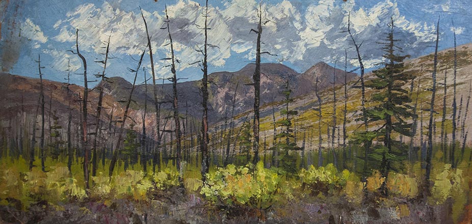 Лисенков С.С.