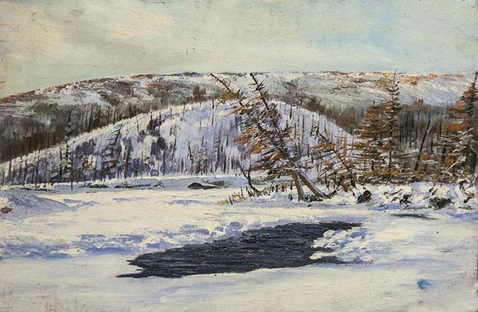 Лисенков С.С.