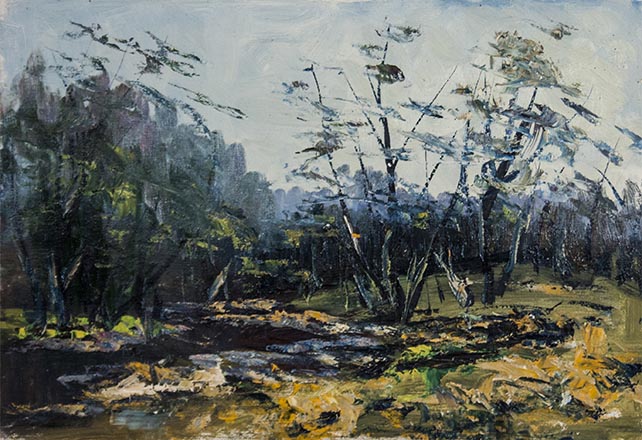 Лисенков С.С.