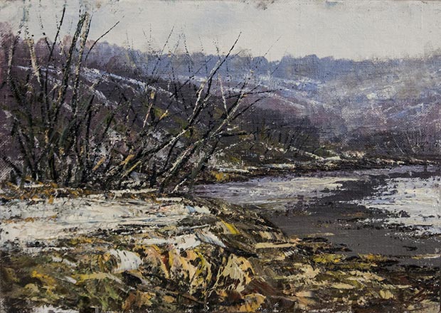 Лисенков С.С.
