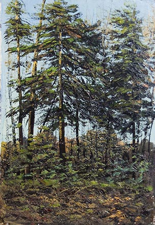 Лисенков С.С.