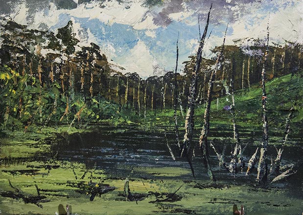 Лисенков С.С.