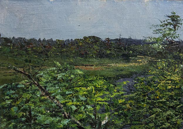 Лисенков С.С.
