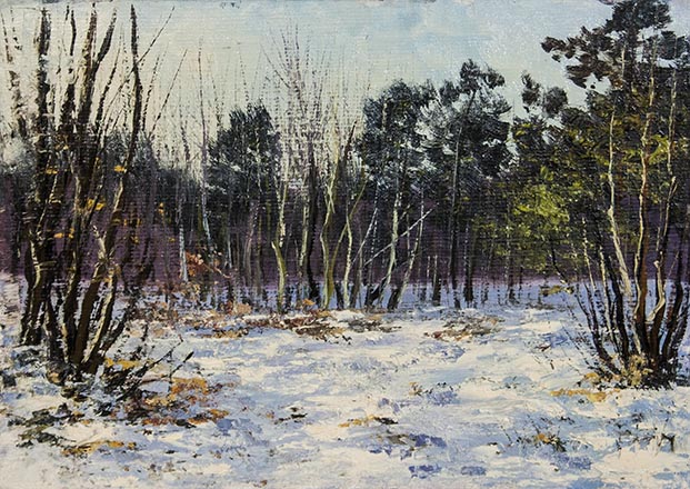 Лисенков С.С.