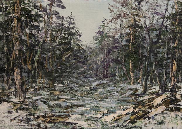 Лисенков С.С.